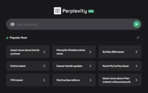perplexity ai