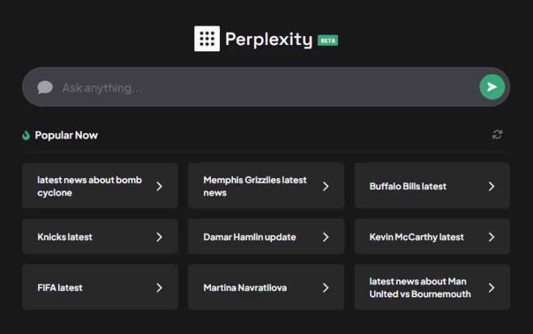 perplexity ai