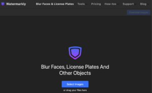 Watermarkly's Blur Faces & License Plates AI tool.