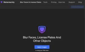 Watermarkly's Blur Faces & License Plates AI tool.