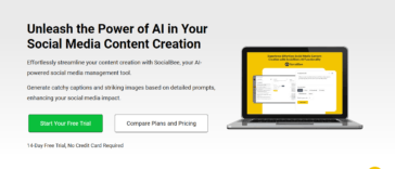 SocialBee