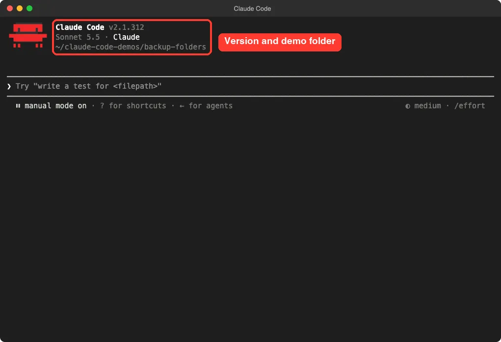 Claude Code start screen showing the version number and the demo folder path, with both highlighted