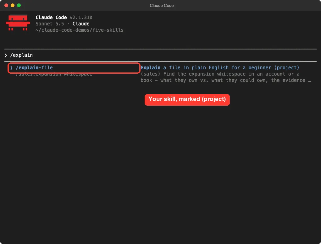 Claude Code slash menu showing the explain-file skill marked project