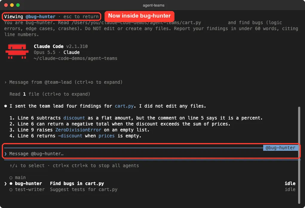Viewing bug-hunter session showing its spawn prompt from the lead and its four findings, with the input box labeled @bug-hunter