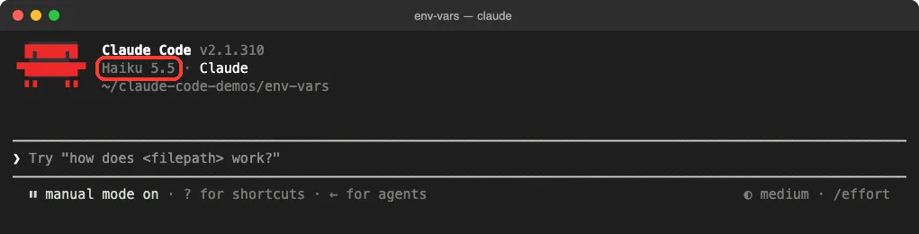 Claude Code v2.1.310 startup header showing Haiku 5.5 as the model after launching with ANTHROPIC_MODEL=haiku