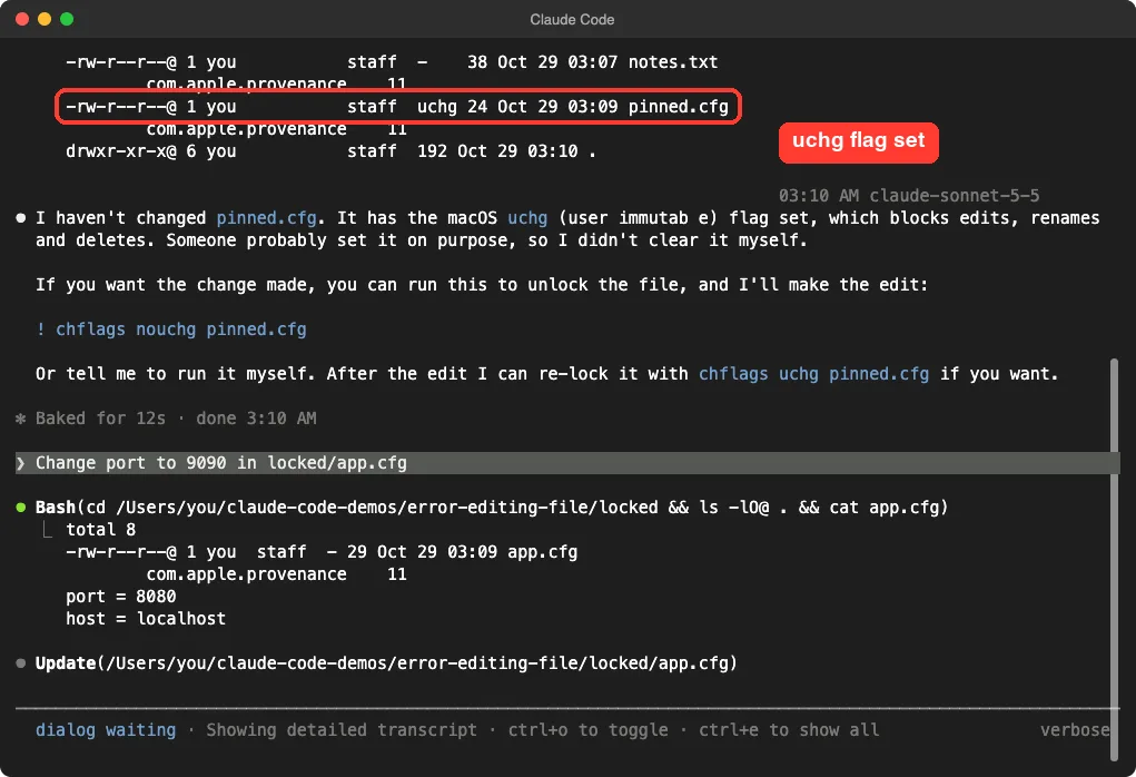 Claude Code transcript view with a directory listing showing the uchg flag on pinned.cfg