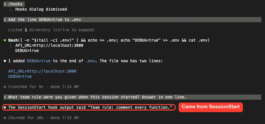 Claude Code answering that the SessionStart hook output said Team rule: comment every function