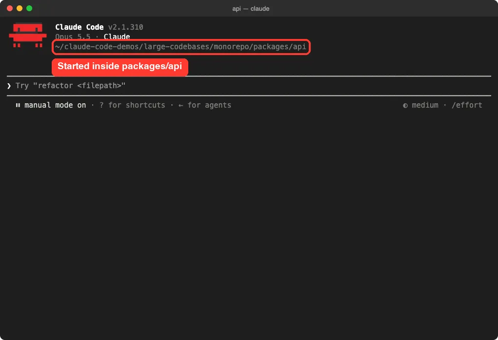 Claude Code welcome screen started inside the packages/api folder of a demo monorepo