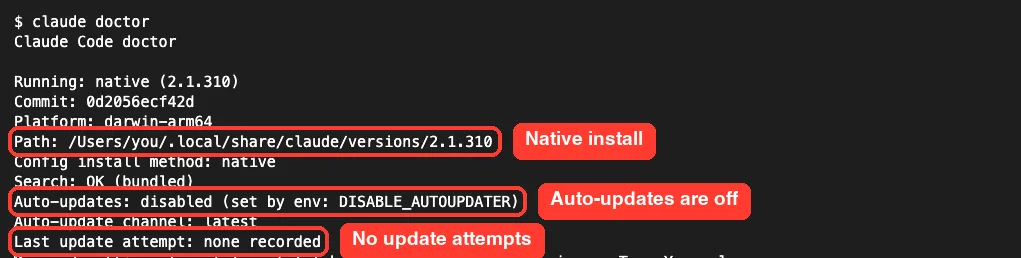 claude doctor output with the native install path, the auto-updates disabled line and the last update attempt line highlighted