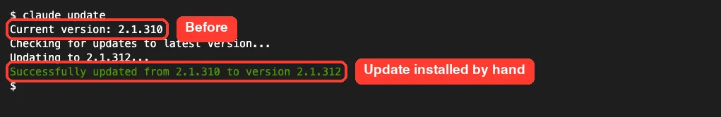 Terminal output of claude update showing the current version 2.1.310 and a success message updating to 2.1.312