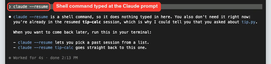 Claude Code answering after claude --resume was typed at the Claude prompt, explaining it is a shell command and suggesting /resume options