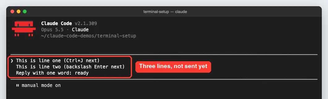 Claude Code input box holding three lines of text typed with Ctrl+J and backslash Enter