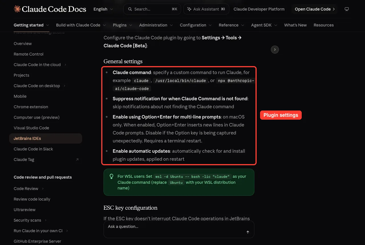 Official JetBrains docs general settings list with the four plugin options highlighted