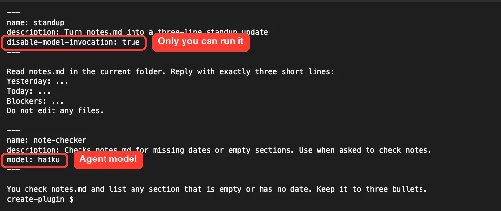 Terminal printing the standup SKILL.md and the note-checker agent file with disable-model-invocation and model haiku highlighted