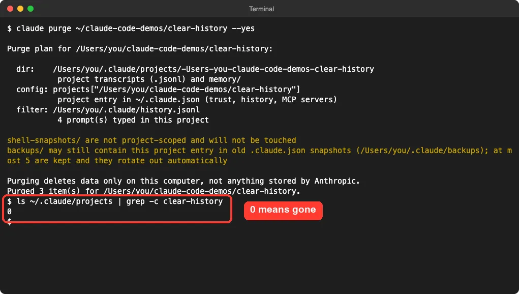 Terminal showing the purge finished and a folder count of zero for the demo project