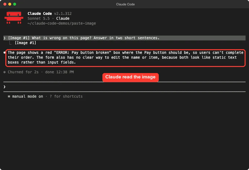 Claude Code answering a question about the pasted image, naming the red error box