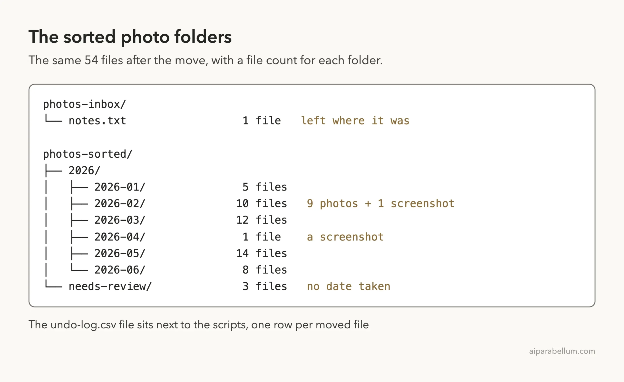 Folder tree of the result: photos-inbox holds notes.txt, and photos-sorted holds a 2026 folder with six month folders from 2026-01 to 2026-06 plus a needs-review folder with 3 files