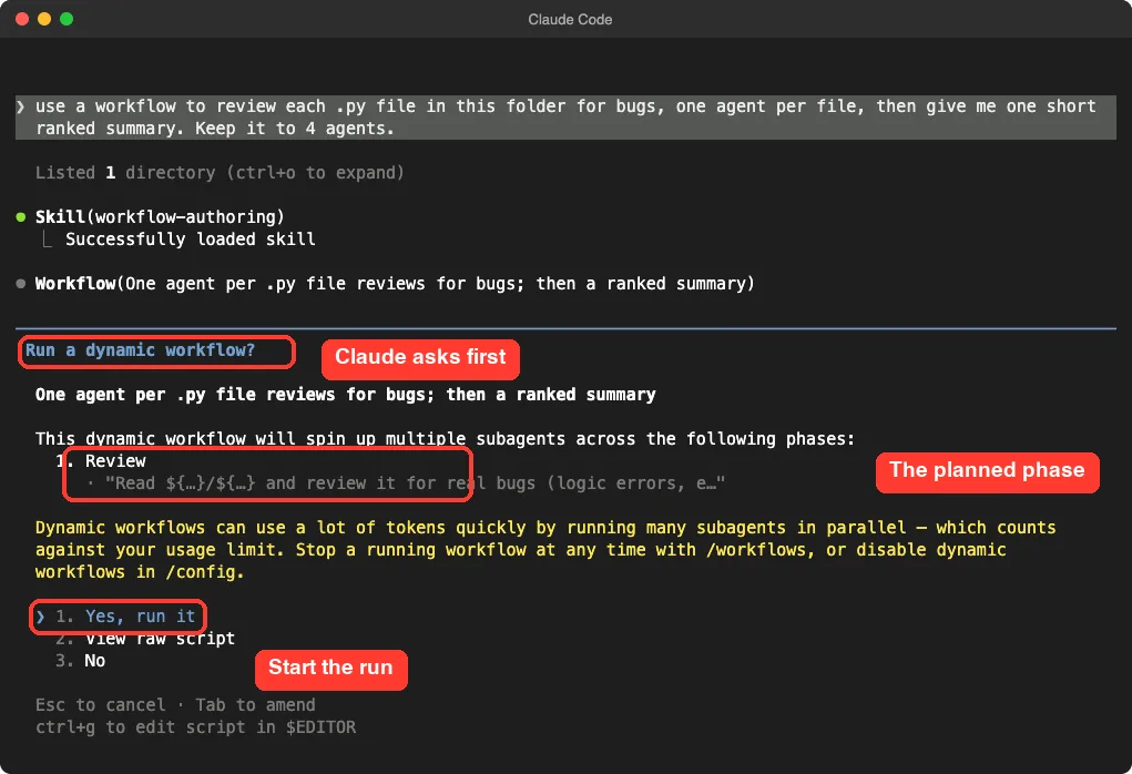 Claude Code terminal asking Run a dynamic workflow with the planned Review phase and options Yes run it, View raw script, and No