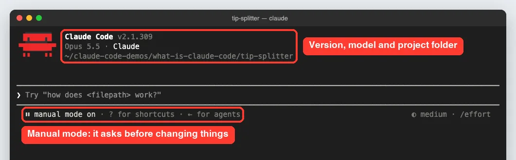 Claude Code welcome screen in the terminal showing version, model, project folder and manual mode